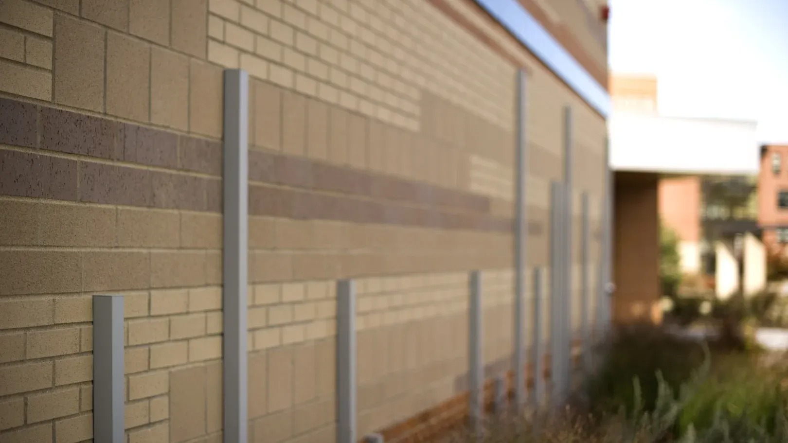 allison_dvorak_aia_03.jpg Image